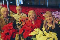 La campagne de poinsettias de La Maison Aube-Lumière revient pour une 32e année